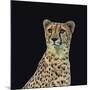 Portrait of Cheetah Sitting, Vector Illustration-Jan Fidler-Mounted Photographic Print