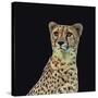 Portrait of Cheetah Sitting, Vector Illustration-Jan Fidler-Stretched Canvas