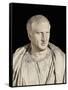 Portrait of Cicero-null-Framed Stretched Canvas