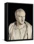 Portrait of Cicero-null-Framed Stretched Canvas