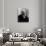 Portrait of Claude Monet (1841-1926) 1901 (B/W Photo)-Nadar-Giclee Print displayed on a wall