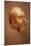 Portrait of Clement VII-Sebastiano del Piombo-Mounted Giclee Print