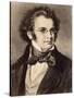 Portrait of Composer Franz Schubert-null-Stretched Canvas