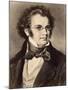 Portrait of Composer Franz Schubert-null-Mounted Giclee Print