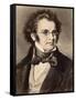 Portrait of Composer Franz Schubert-null-Framed Stretched Canvas