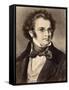 Portrait of Composer Franz Schubert-null-Framed Stretched Canvas