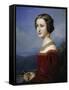 Portrait of Cornelia Vetterlein, 1828-Joseph Karl Stieler-Framed Stretched Canvas