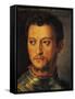 Portrait of Cosimo I De Medici-Agnolo Bronzino-Framed Stretched Canvas