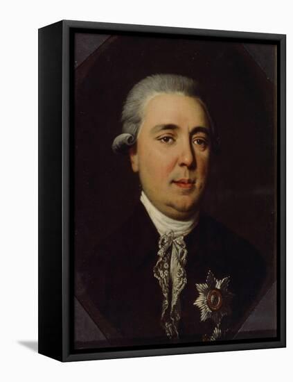 Portrait of Count Alexander Romanovich Vorontsov (1741-180)-Johann Heinrich Schmidt-Framed Stretched Canvas