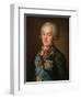 Portrait of Count Nikolai Petrovich Sheremetev (1751-180), 1798-Nikolai Ivanovich Argunov-Framed Giclee Print