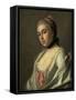 Portrait of Countess Anna Vorontsova, C.1760 (Oil on Canvas)-Pietro Antonio Rotari-Framed Stretched Canvas