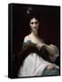 Portrait of Countess Keller, 1873-Alexandre Cabanel-Framed Stretched Canvas