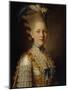 Portrait of Countess Kh. Obolenskaya, Ca 1776-Alexander Roslin-Mounted Giclee Print