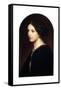 Portrait of Countess Sophie Shuvaloff, 1853-Paul Delaroche-Framed Stretched Canvas