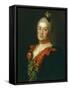 Portrait of Countess Tatyana Alexeyevna Trubetskaya, 1761-Alexei Petrovich Antropov-Framed Stretched Canvas