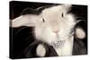 Portrait Of Cute Rabbit In Top Hat And Bow-Tie. Isolated On Dark Background-PH.OK-Stretched Canvas