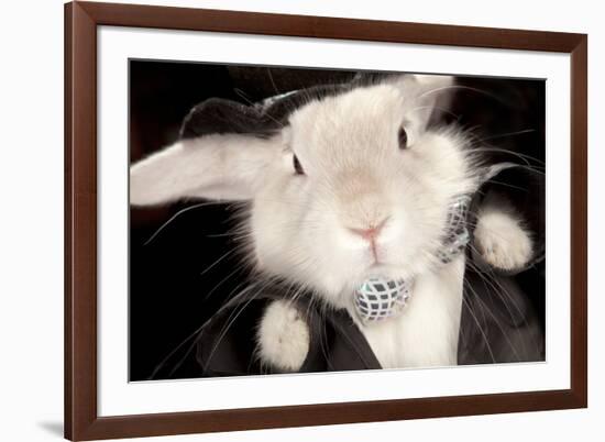 Portrait Of Cute Rabbit In Top Hat And Bow-Tie. Isolated On Dark Background-PH.OK-Framed Photographic Print