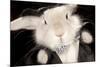 Portrait Of Cute Rabbit In Top Hat And Bow-Tie. Isolated On Dark Background-PH.OK-Mounted Photographic Print