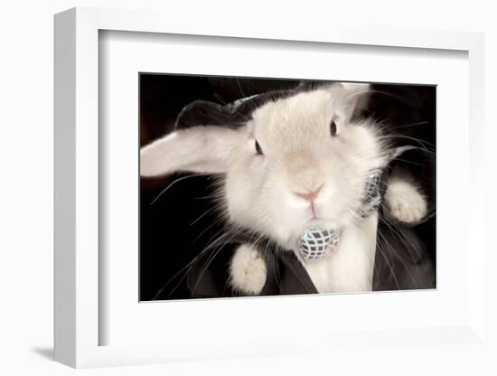 Portrait Of Cute Rabbit In Top Hat And Bow-Tie. Isolated On Dark Background-PH.OK-Framed Photographic Print