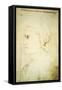 Portrait of Dante Alighieri-null-Framed Stretched Canvas