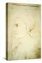 Portrait of Dante Alighieri-null-Stretched Canvas