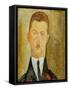 Portrait of Doctor Francois Brabander, 1918-Amedeo Modigliani-Framed Stretched Canvas