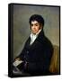Portrait of Don Francisco Del Mazo, circa 1815-1820 (Oil on Canvas)-Francisco Jose de Goya y Lucientes-Framed Stretched Canvas