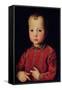 Portrait of Don Garcia-Agnolo Bronzino-Framed Stretched Canvas