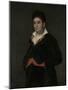 Portrait of Don Ramon Satue, 1823-Francisco de Goya-Mounted Giclee Print
