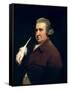 Portrait of Dr Erasmus Darwin Scientist, Inventor and Poet, Grandfather of Charles Darwin, 1792-93-Joseph Wright of Derby-Framed Stretched Canvas