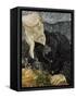 Portrait of Dr. Gachet-Vincent van Gogh-Framed Stretched Canvas