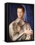 Portrait of Duke Cosimo I de Medici Florence (1503-1572)-Agnolo Bronzino-Framed Stretched Canvas