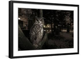 Portrait of Eagle Owl (Bubo Bubo) in Tree at Dusk. Freiburg Im Breisgau, Germany, January-Klaus Echle-Framed Photographic Print