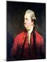 Portrait of Edward Gibbon circa 1779-Sir Joshua Reynolds-Mounted Giclee Print