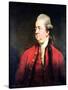 Portrait of Edward Gibbon circa 1779-Sir Joshua Reynolds-Stretched Canvas