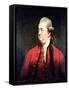 Portrait of Edward Gibbon circa 1779-Sir Joshua Reynolds-Framed Stretched Canvas