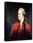 Portrait of Edward Gibbon circa 1779-Sir Joshua Reynolds-Framed Stretched Canvas