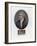 Portrait of Edward Gibbon-J. Chapman-Framed Giclee Print