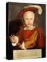 Portrait of Edward VI as a Child-Hans Holbein the Younger-Stretched Canvas