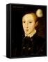 Portrait of Edward VI-William Scrots-Framed Stretched Canvas