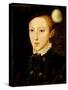 Portrait of Edward VI-William Scrots-Stretched Canvas