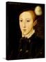 Portrait of Edward VI-William Scrots-Stretched Canvas