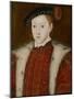 Portrait of Edward VI-Guillaume Scrots-Mounted Giclee Print