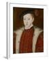 Portrait of Edward VI-Guillaume Scrots-Framed Giclee Print