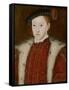 Portrait of Edward VI-Guillaume Scrots-Framed Stretched Canvas