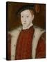 Portrait of Edward VI-Guillaume Scrots-Stretched Canvas