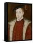 Portrait of Edward VI-Guillaume Scrots-Framed Stretched Canvas