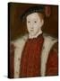 Portrait of Edward VI-Guillaume Scrots-Stretched Canvas