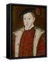 Portrait of Edward VI-Guillaume Scrots-Framed Stretched Canvas