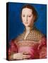 Portrait of Eleanor of Toledo, c.1543-Agnolo Bronzino-Stretched Canvas